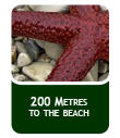 Beach - Spiaggia - Palza